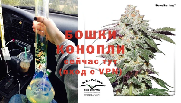 тгк Богородицк
