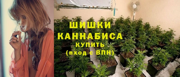 амф Богородск