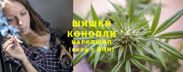 амф Богородск