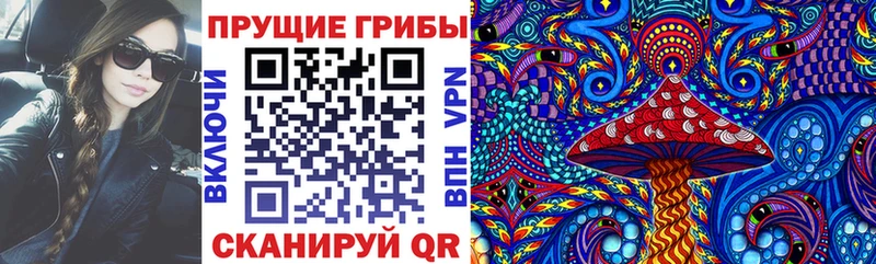 Псилоцибиновые грибы Psilocybe Могоча